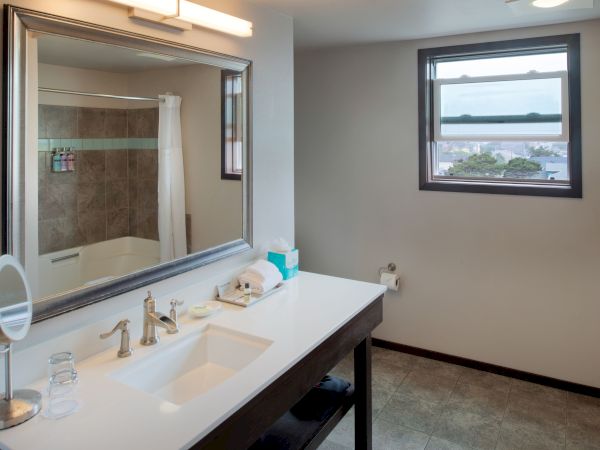 A bathroom vanity with a double sink, large mirror, wall-mounted light, makeup mirror, soap, tissues, and a towel on a countertop; a window shows an outside view.