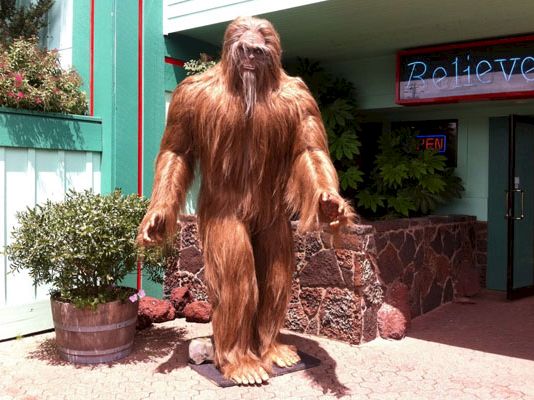 A large, orange-brown Bigfoot/Yeti statue stands on a sidewalk near a storefront, with plants and a colorful building in the background, silly and fun.