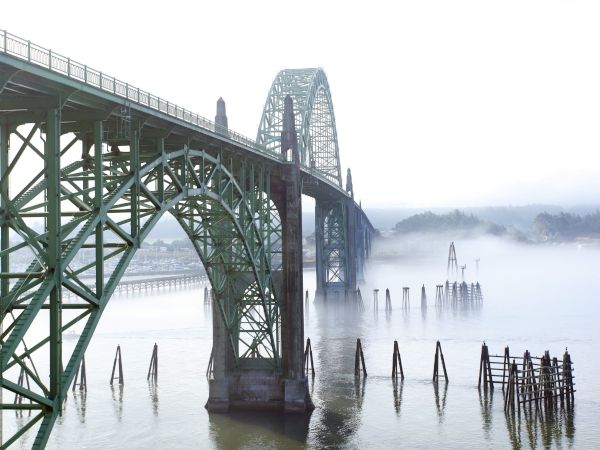 A large green steel bridge extends over a misty river, with arches fading into fog, and wooden pilings sticking up from the calm water.