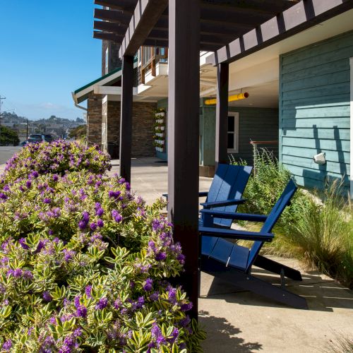 A row of purple flowers along a sidewalk in front of a blue building with blue chairs on the porch, sunny day.