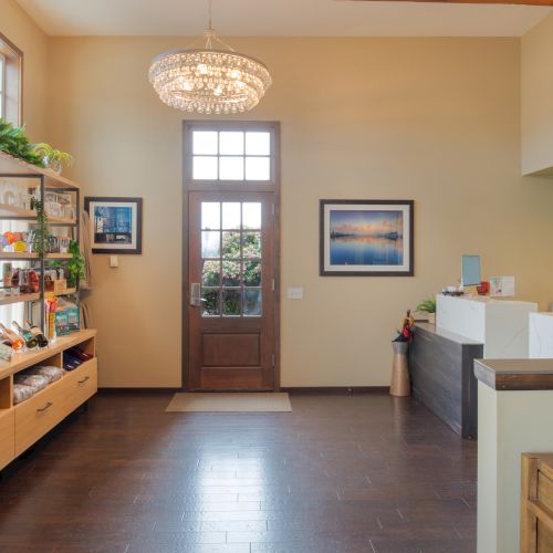 A cozy, well-lit shop with a wooden display shelf, plants, a front door, and a reception desk; bright and welcoming atmosphere.
